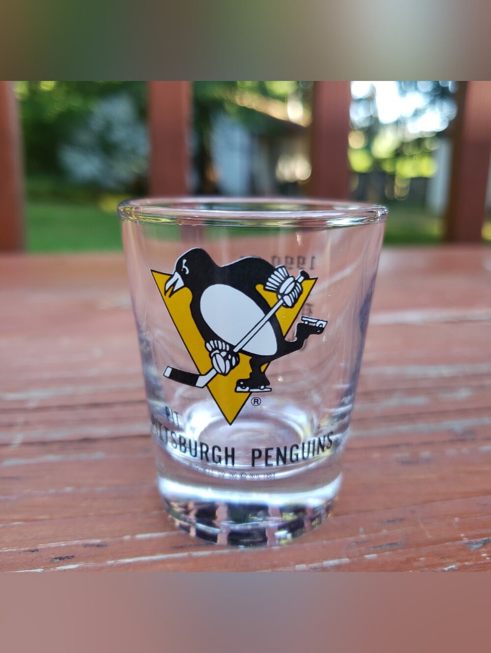 NHL Pittsburgh Penguins 1990-91 Patrick Division Champs Shot-Glass (Glass)